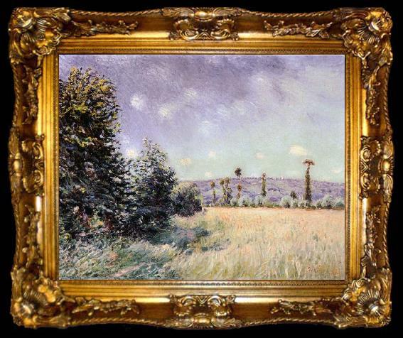 framed  Alfred Sisley Sahurs Meadows in the Morning Sun, ta009-2